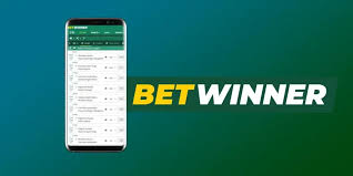 Обзор и преимущества партнерская программа Betwinner